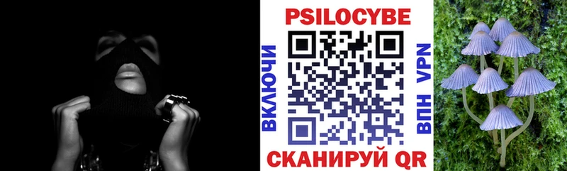 дарнет шоп  Нестеровская  Псилоцибиновые грибы Psilocybine cubensis 